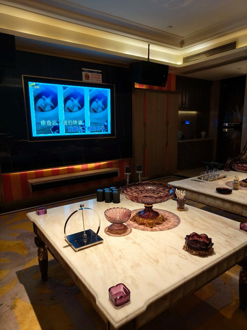 鸡西商务ktv好吗尽享高品质娱乐体验-城子河区ktv预订